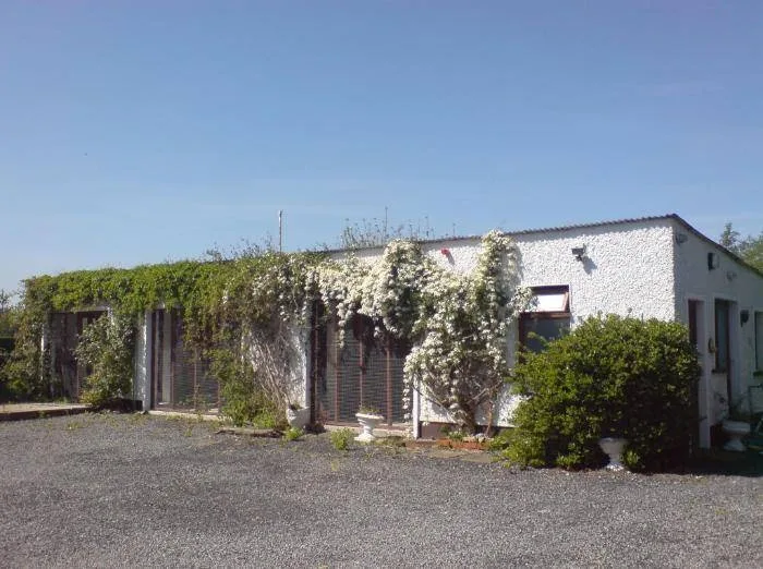 Martinstown Cattery - Ireland pet otel görseli 6