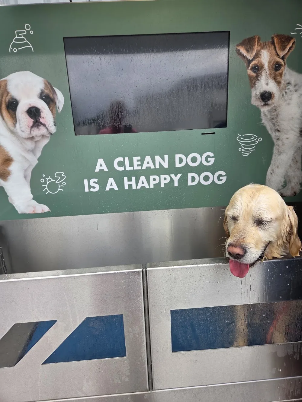 Newcastle Boarding Kennels - Ireland pet otel görseli 6