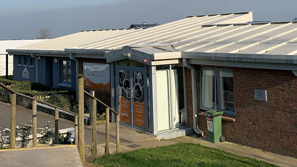 NSPCA Pet Hotel & Doggie Daycare - Ireland pet otel görseli 2