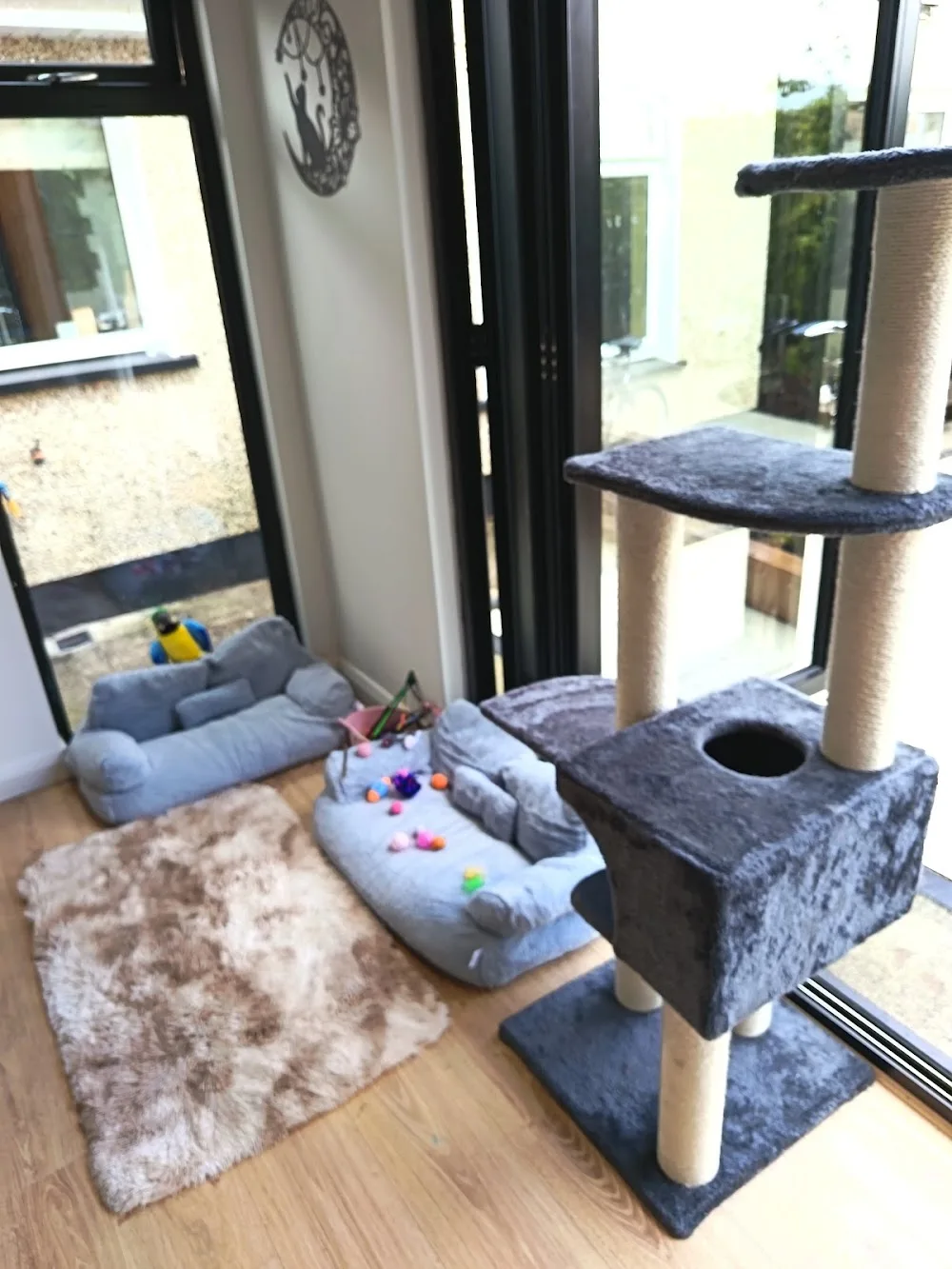 Olivia’s Cattery - Ireland pet otel görseli 11