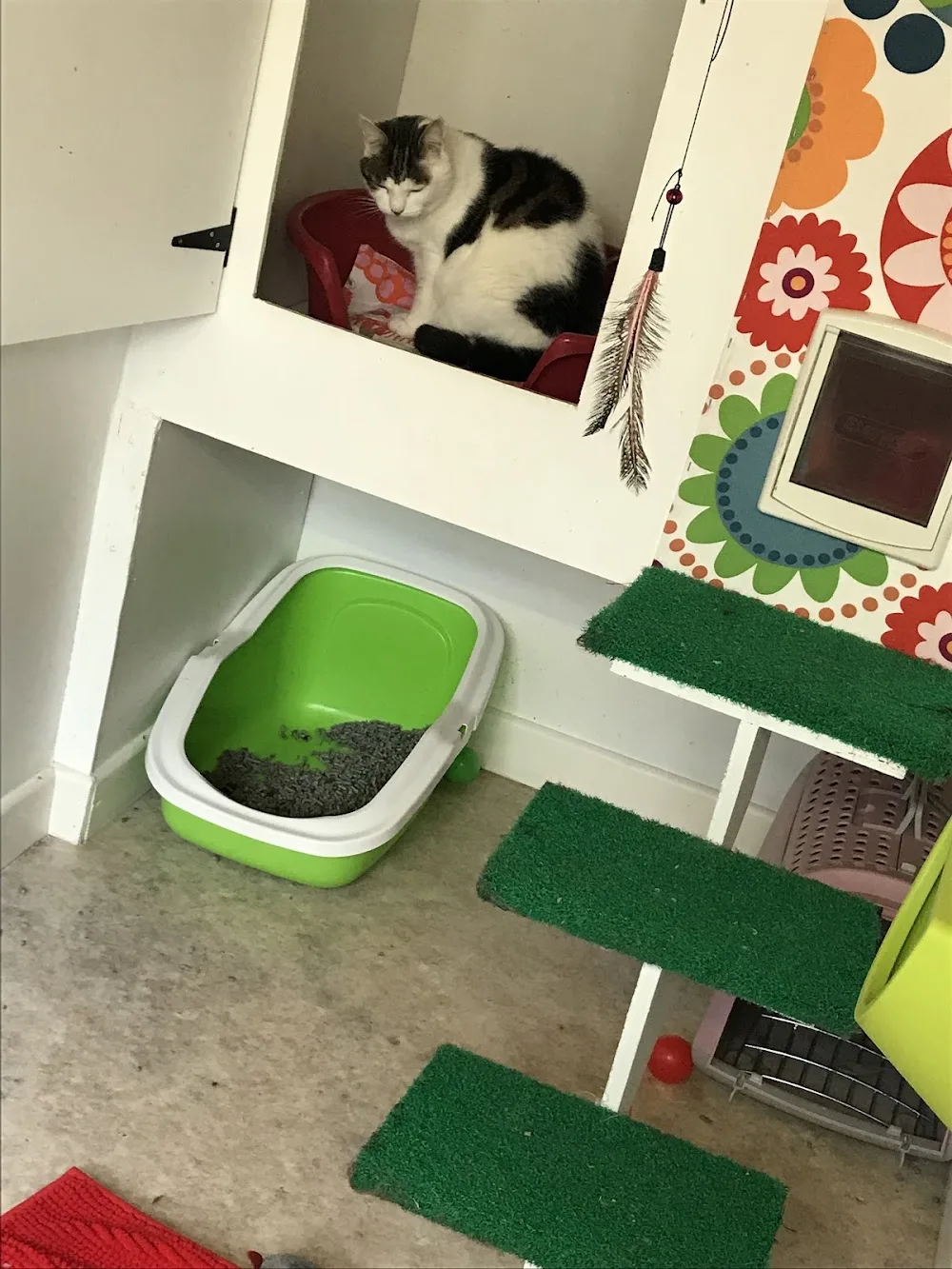 River Cottage Cattery - Ireland pet otel görseli 7