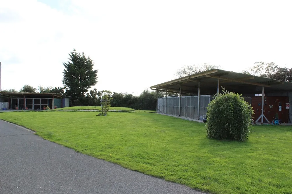 Tír Na Nóg Cattery - Ireland pet otel görseli 10