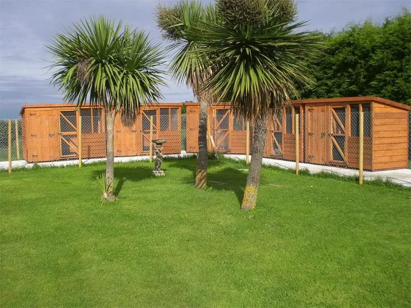 Waggy Tails Boarding Kennels - Ireland pet otel görseli 6