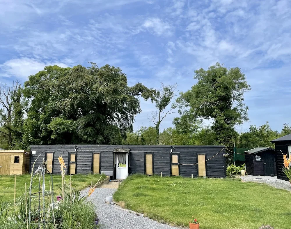Woodlands Cattery - Ireland pet otel görseli 7
