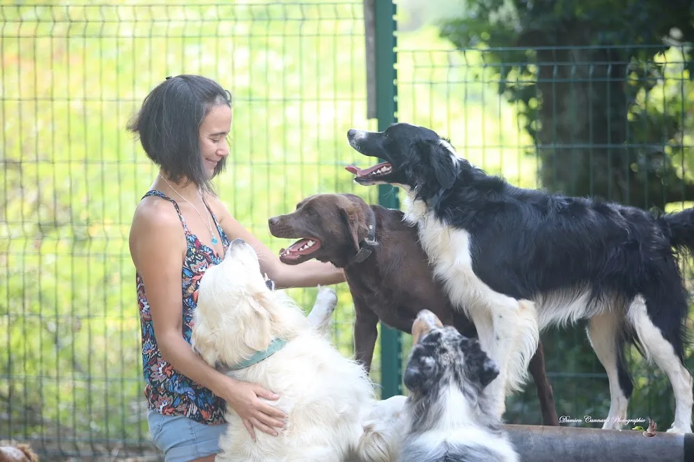 Coeur Sur Pattes - Isère pet otel