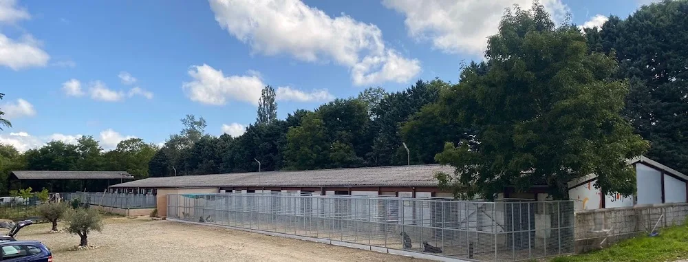 Dog Story - Isère pet otel