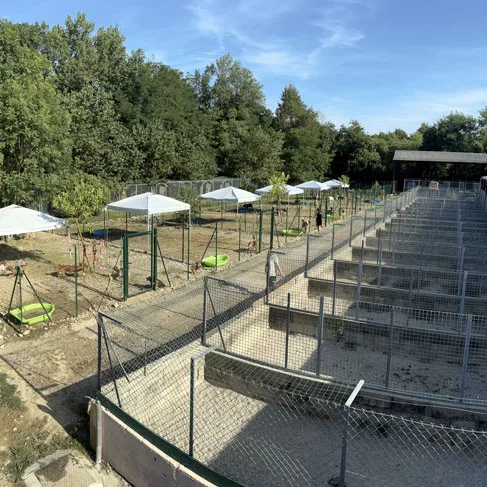 Dog Story - Isère pet otel görseli 3