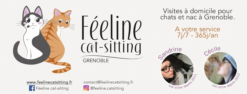 Féeline cat-sitting - Garde de chats et nac - Isère pet otel