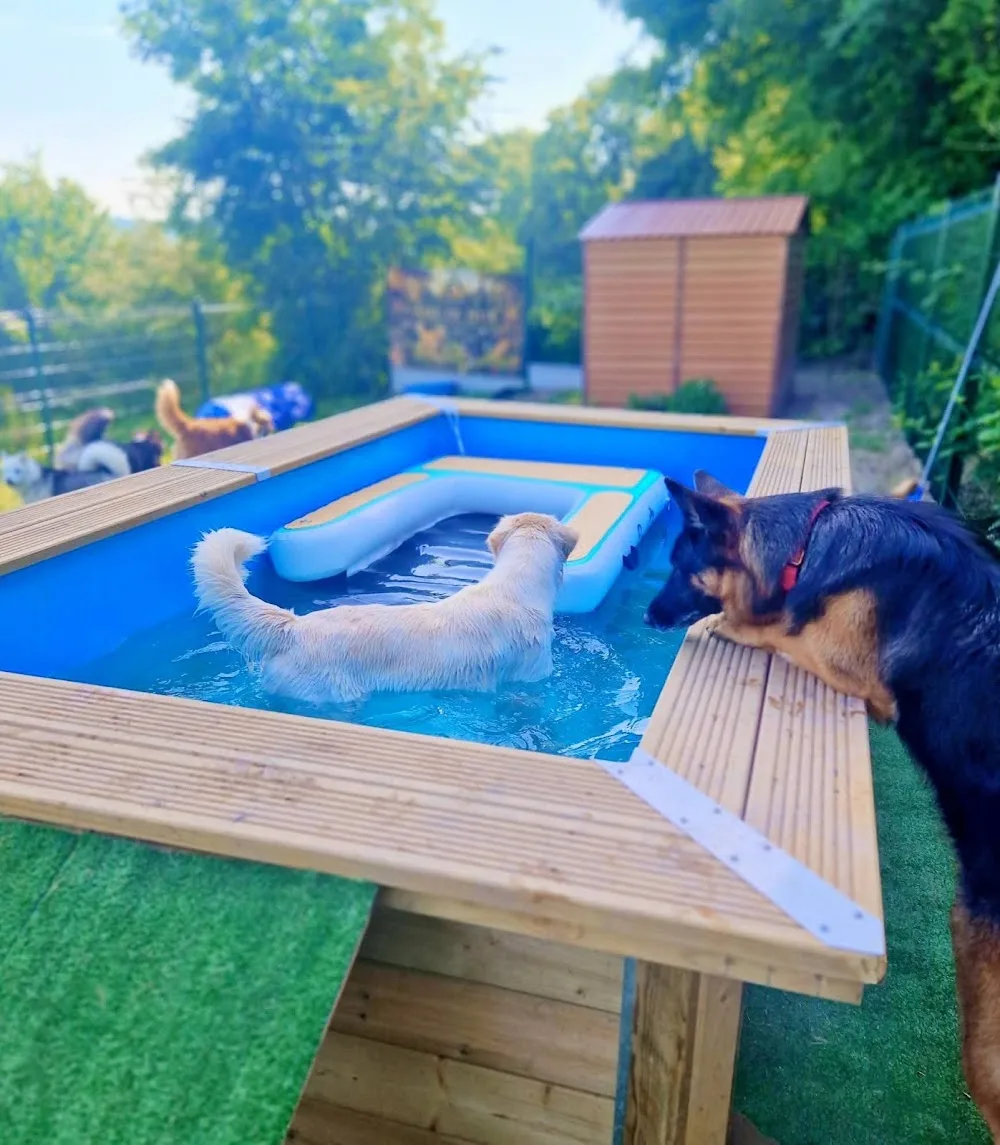 Les Anges du Royaume des Emeraudes - Isère pet otel görseli 2