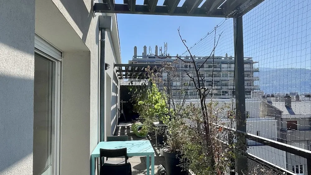 Les Matous Zhazous | Pension familiale & visites à domicile - Isère pet otel