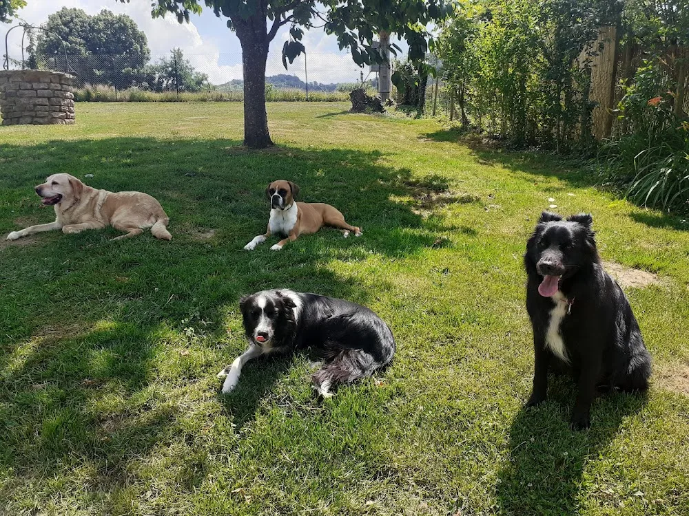 PATTES à PONT - Isère pet otel görseli 3