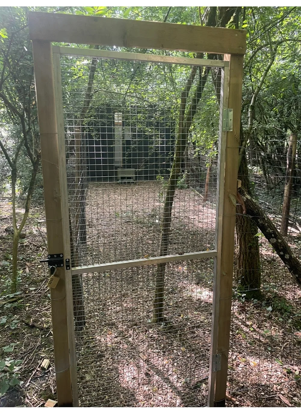 Pension canine et féline Les Chichicoons - Isère pet otel görseli 7