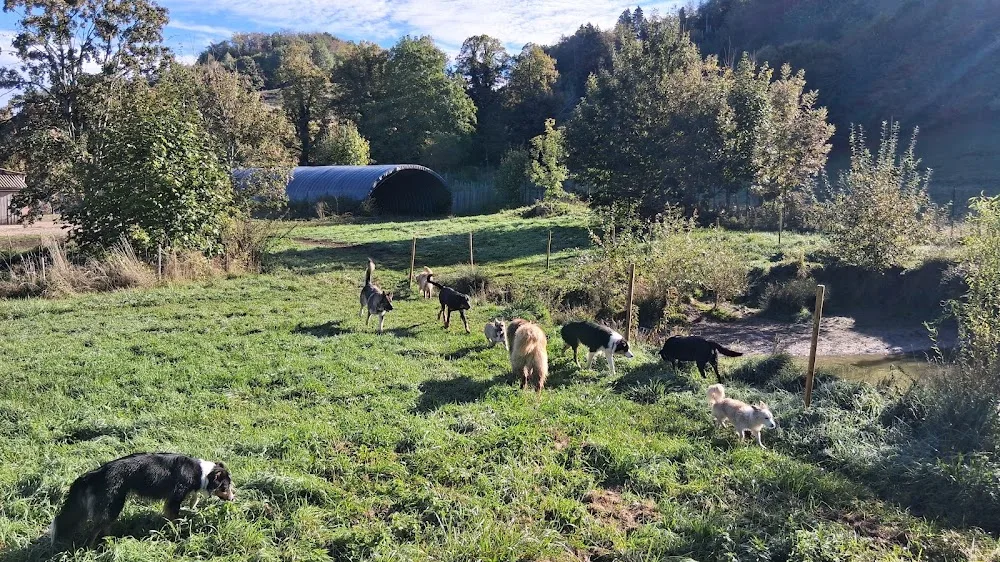 Pension Des Bergers de Loscane - Isère pet otel görseli 3