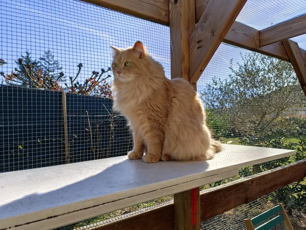 Plan Minou - Isère pet otel görseli 2