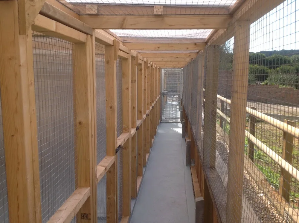 Cook’s Castle Boarding Cattery - Isle of Wight pet otel görseli 3
