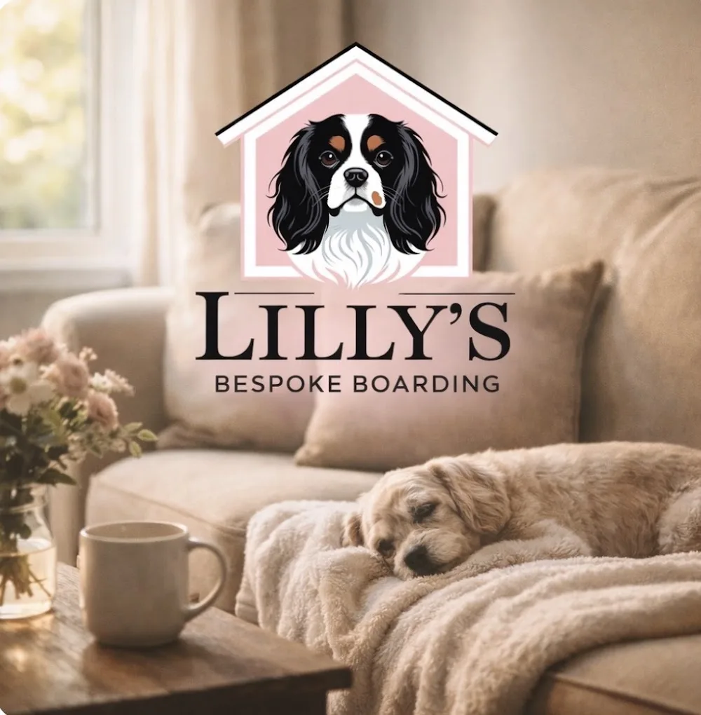 Lilly's Bespoke Home Boarding - For Small & Senior Dogs - Isle of Wight - Isle of Wight pet otel