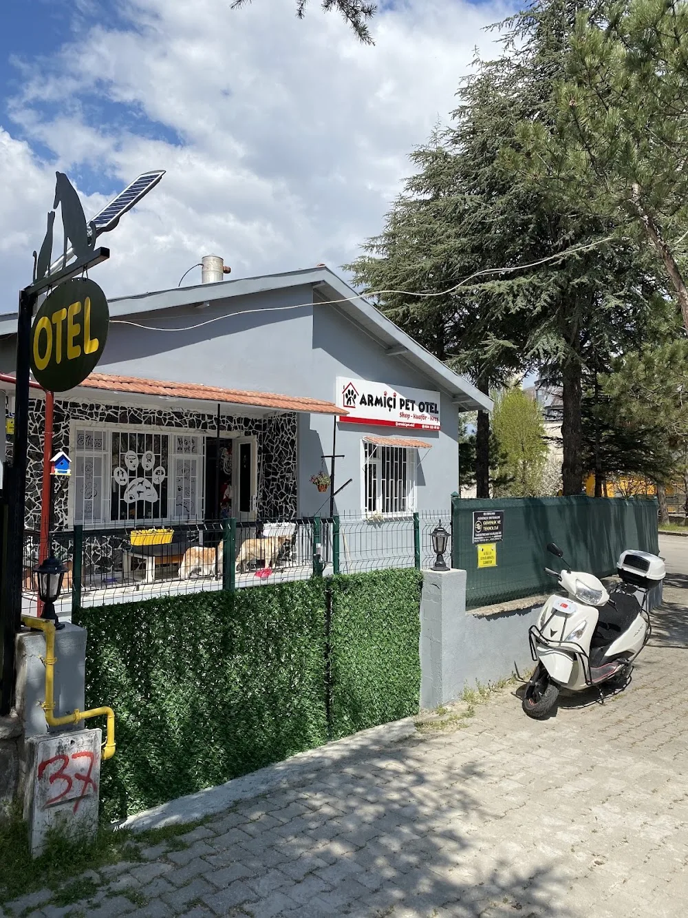 ISPARTA PET OTEL ARMİÇİ - KUAFÖR&KREŞ - Isparta pet otel