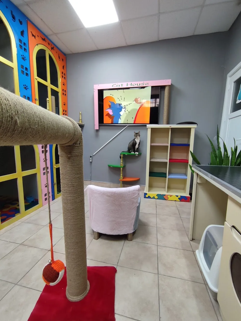 cathouse - Istanbul pet otel görseli 3