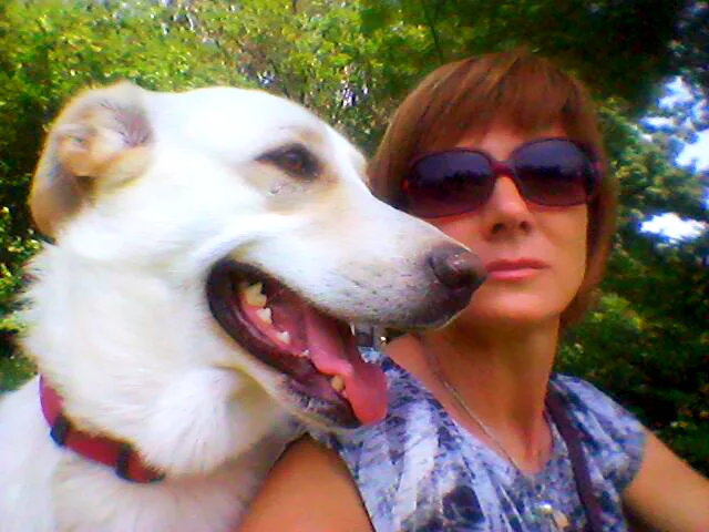 dog-sitting verona 3 - Verona pet otel görseli 2