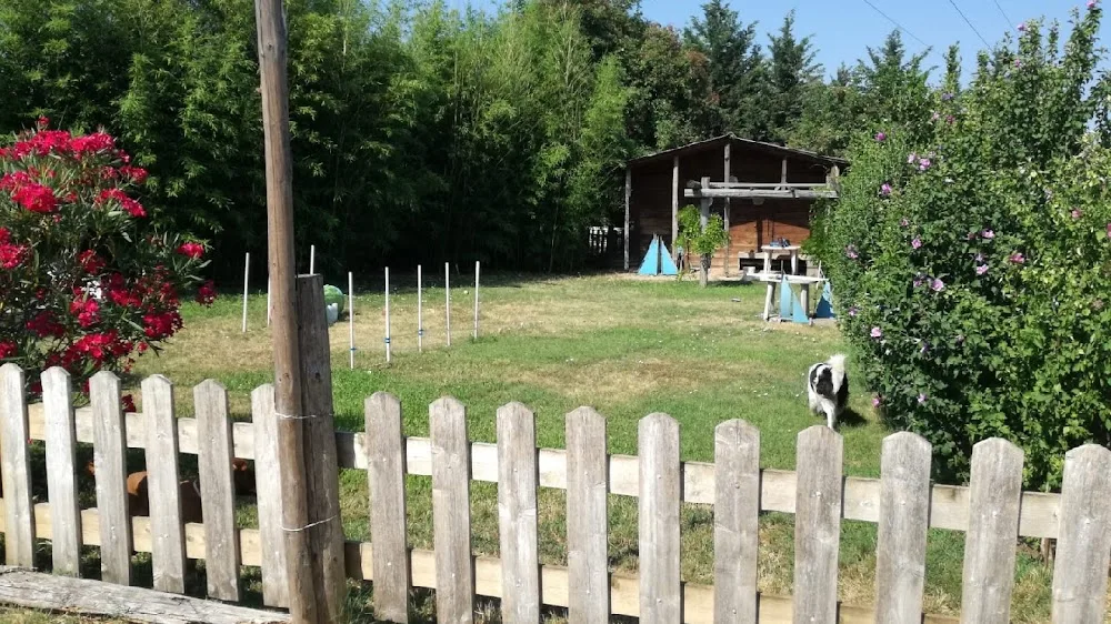 Oasi del Cane Pensione per animali domestici - Verona pet otel