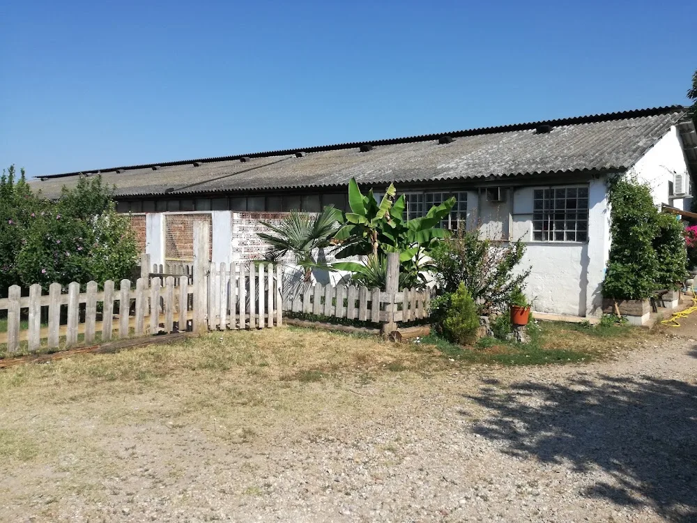 Oasi del Cane Pensione per animali domestici - Verona pet otel görseli 3