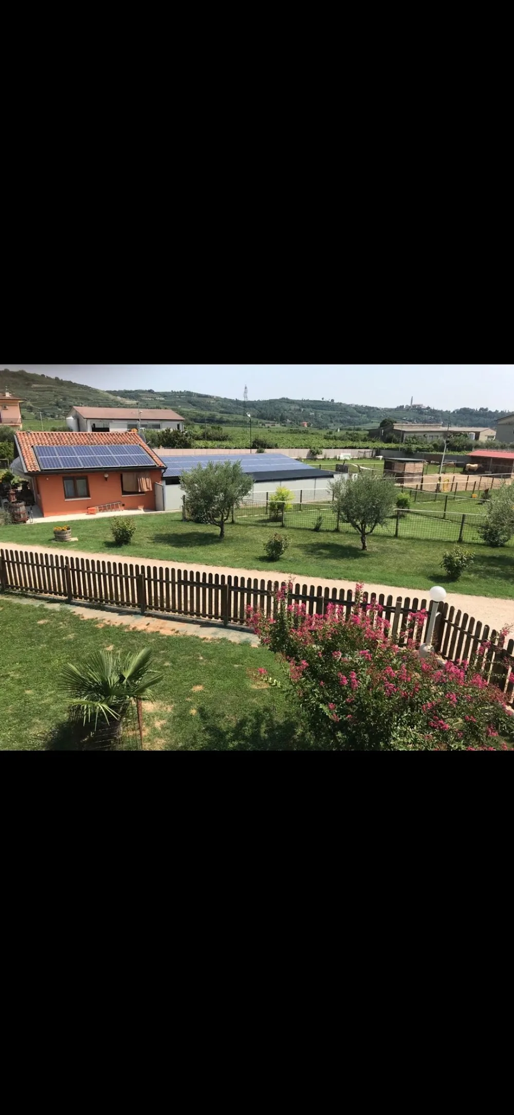 Pensione La Calle - toelettatura e centro cinofilo - Verona pet otel