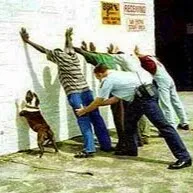 Pensione La Calle - toelettatura e centro cinofilo - Verona pet otel görseli 4