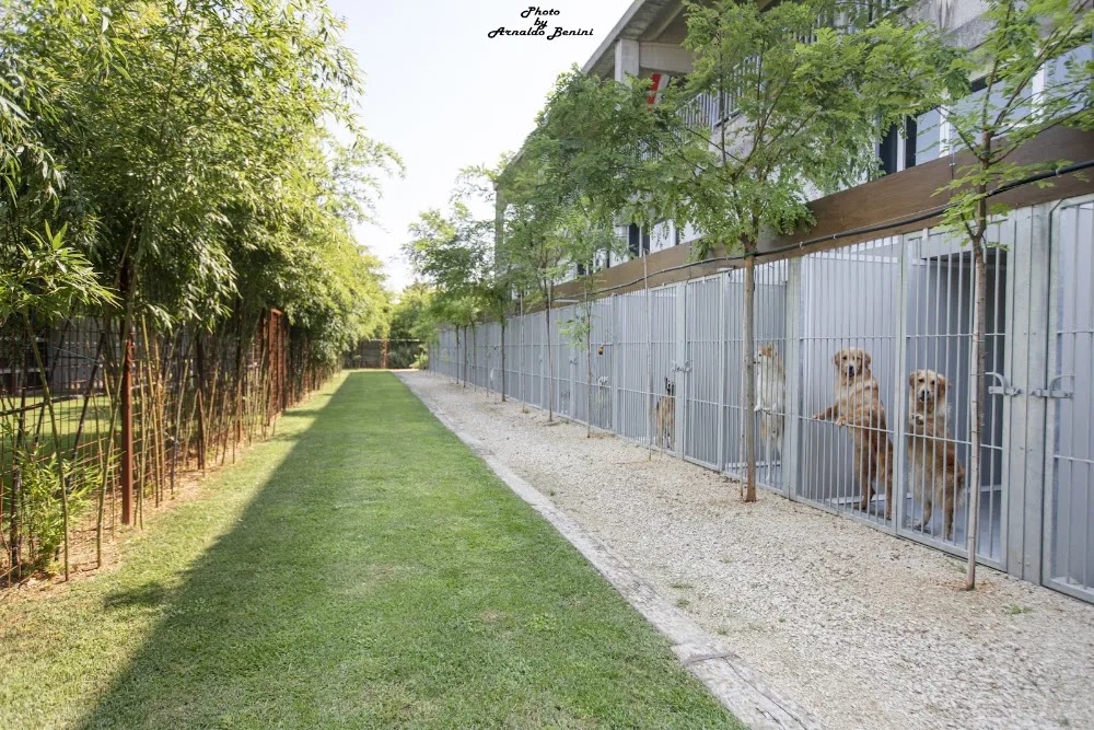 Pensione per cani DOLCE VITA - Verona pet otel
