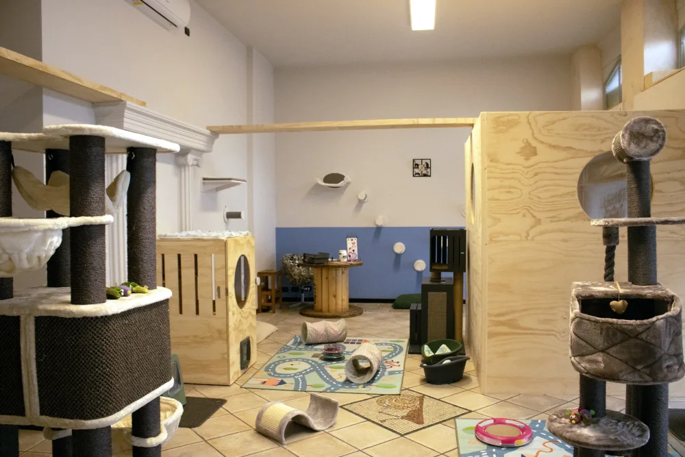 AlberGatto®️ - Italy pet otel