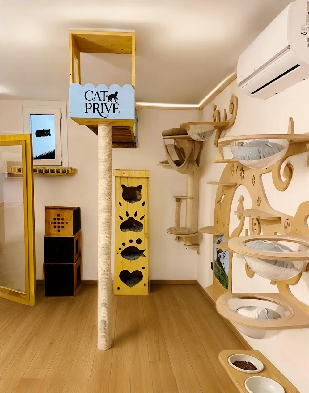 Domus Gattu – Villeggiatura felina con lodges privati | Hotel & Pensione per gatti - Italy pet otel
