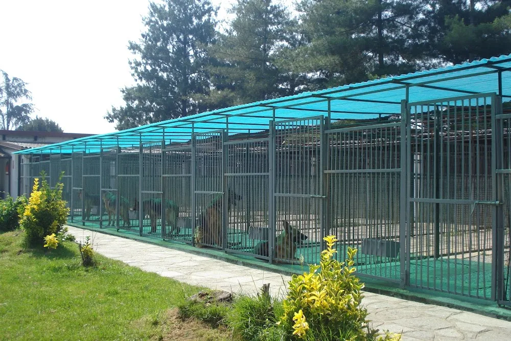 GRAGLIA - Pensione per Cani e Gatti - Italy pet otel görseli 3