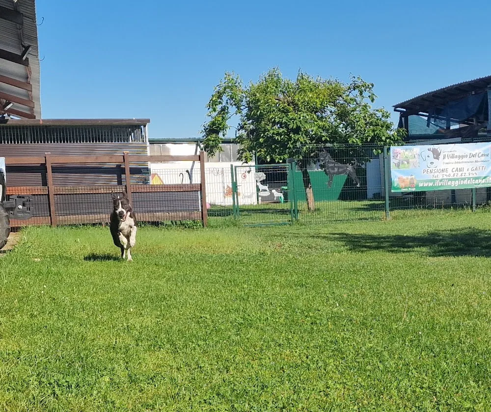 Il villaggio del cane - Italy pet otel görseli 2