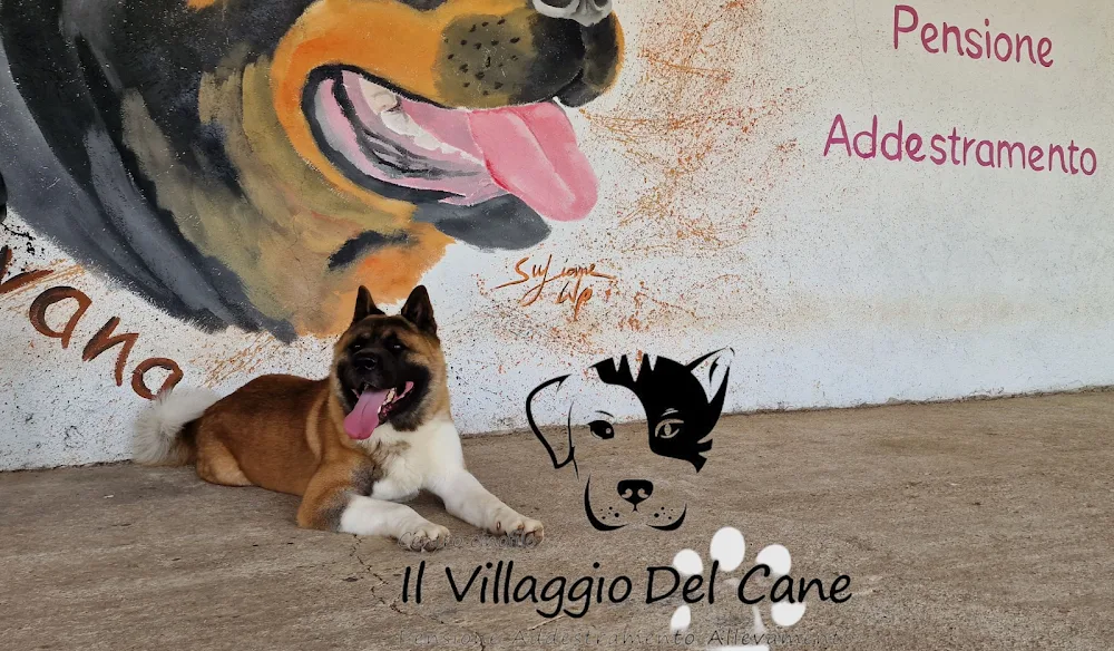 Il villaggio del cane - Italy pet otel görseli 3