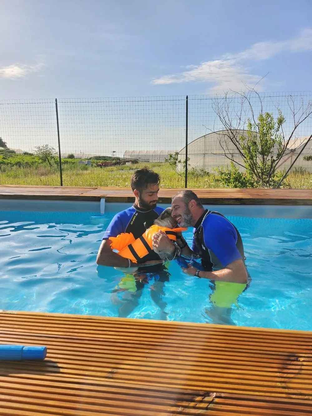 Luxury Dog Hotel dell"Antica Roma Pensione a 5 Stelle per Cani - Italy pet otel görseli 2