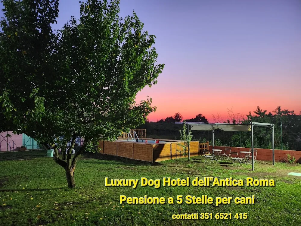 Luxury Dog Hotel dell"Antica Roma Pensione a 5 Stelle per Cani - Italy pet otel görseli 3