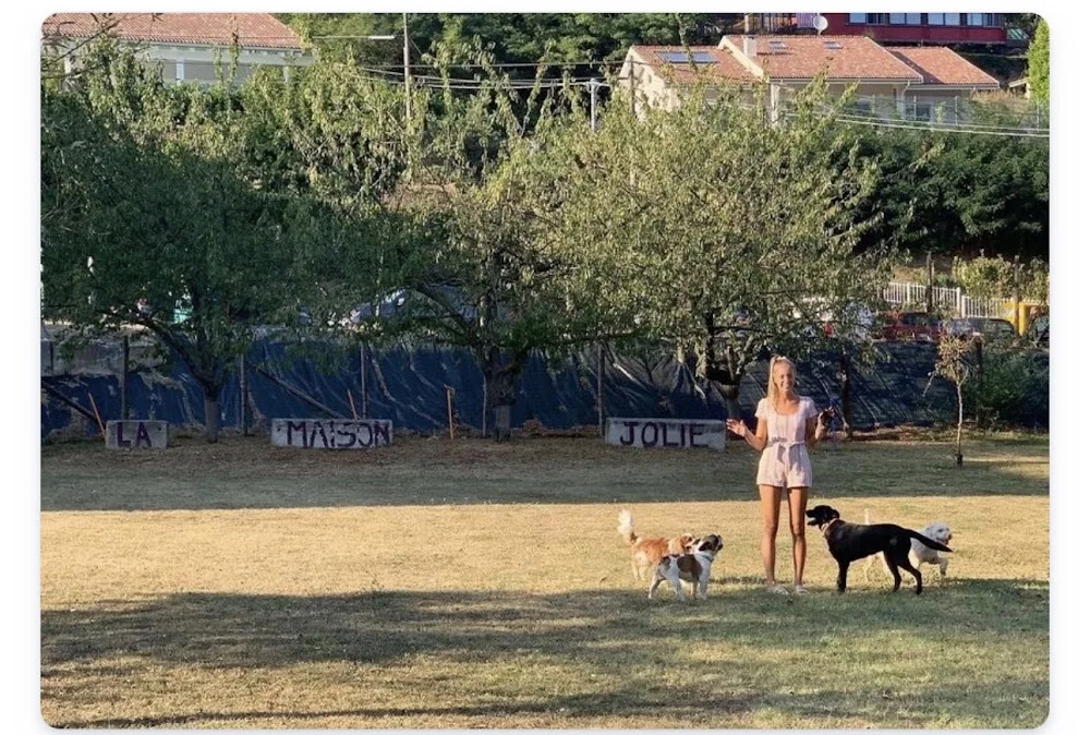 Maison Jolie Pensione per cani - Italy pet otel