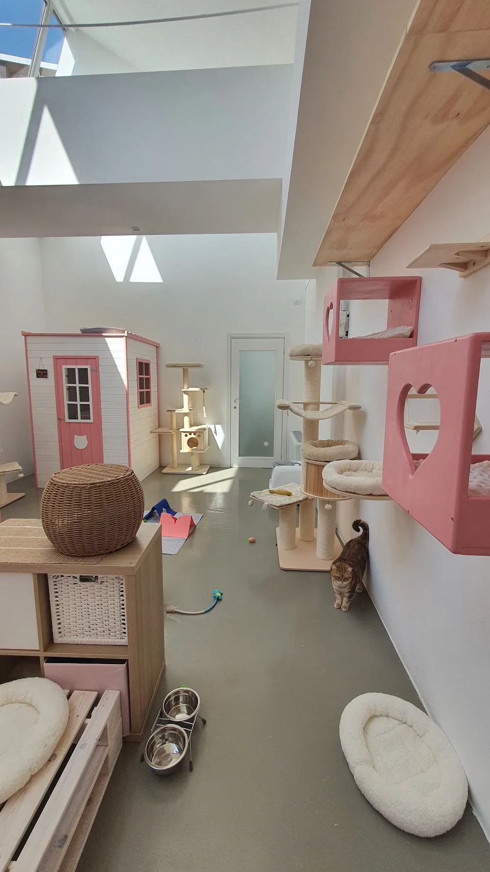 Miciottello - Italy pet otel görseli 3