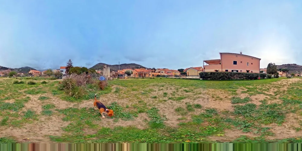 Olimpo di Apollo - Asilo e pensione cani - Italy pet otel görseli 3
