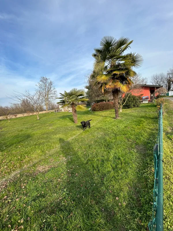 Pensione per Cani Fortina - Italy pet otel görseli 3