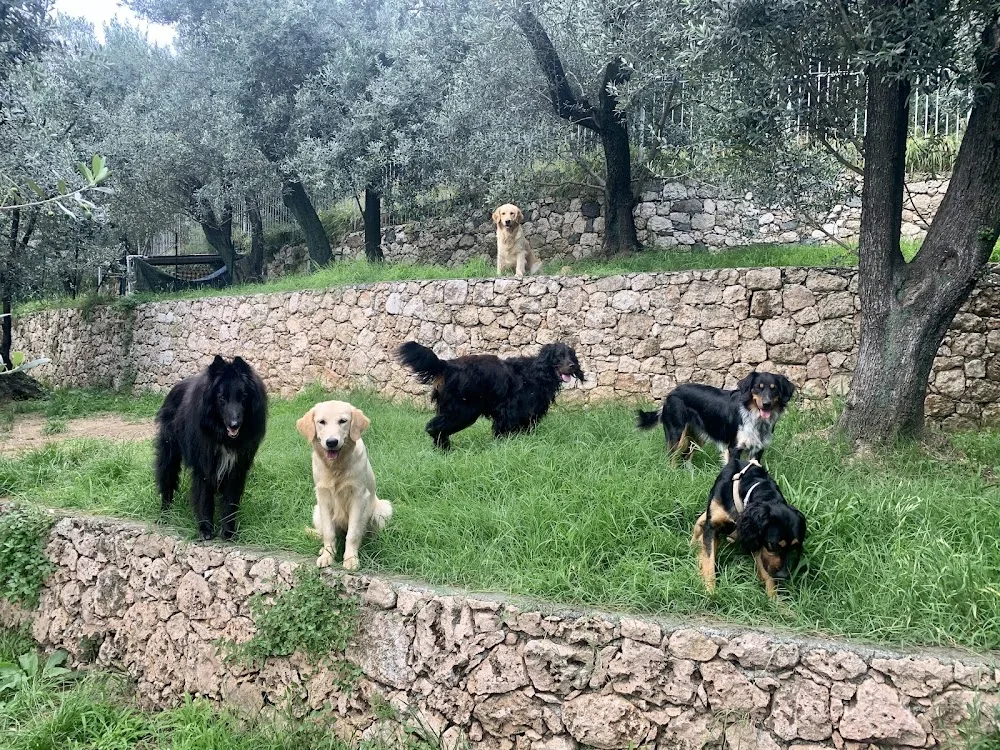 Pensione per cani La Valletta - Italy pet otel