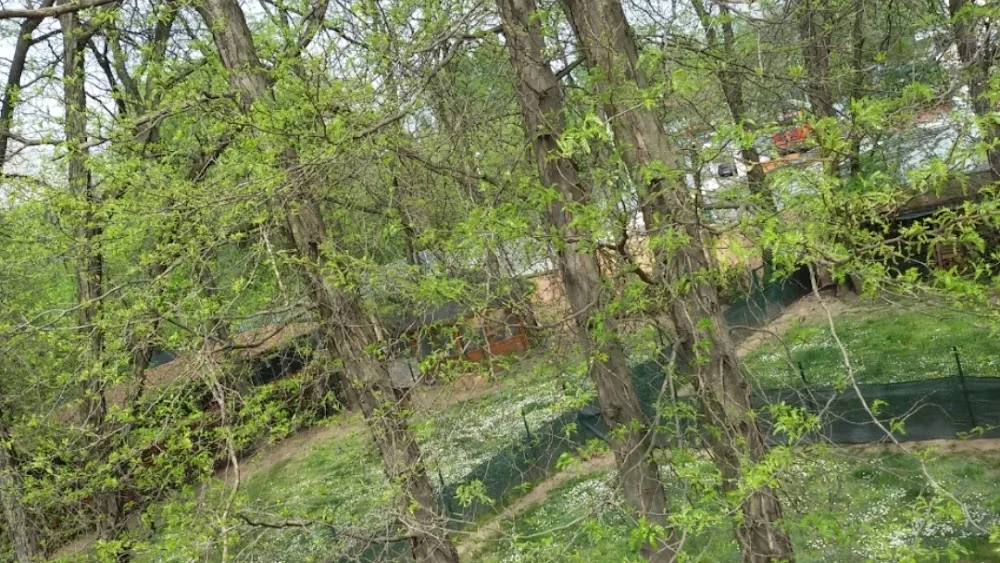 Pensione per gatti Milano - Pensione per cani Milano - Animal Oasis - Italy pet otel görseli 2
