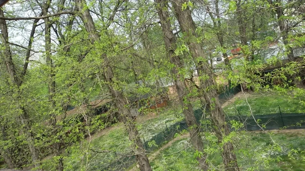 Pensione per gatti Milano - Pensione per cani Milano - Animal Oasis - Italy pet otel görseli 3