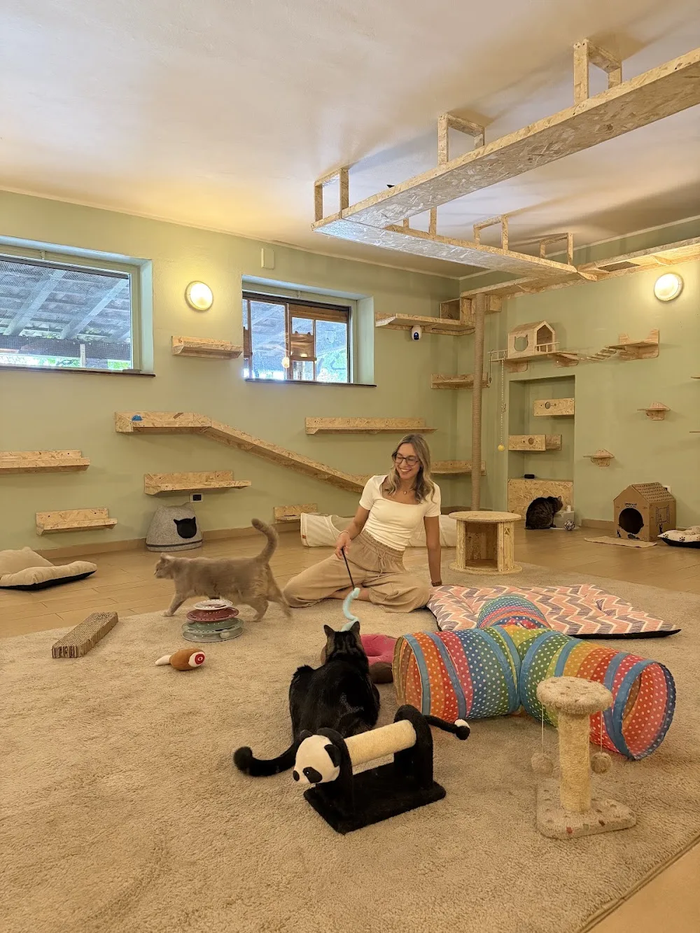 Pensione per gatti Ostello degli aMici - Italy pet otel görseli 2