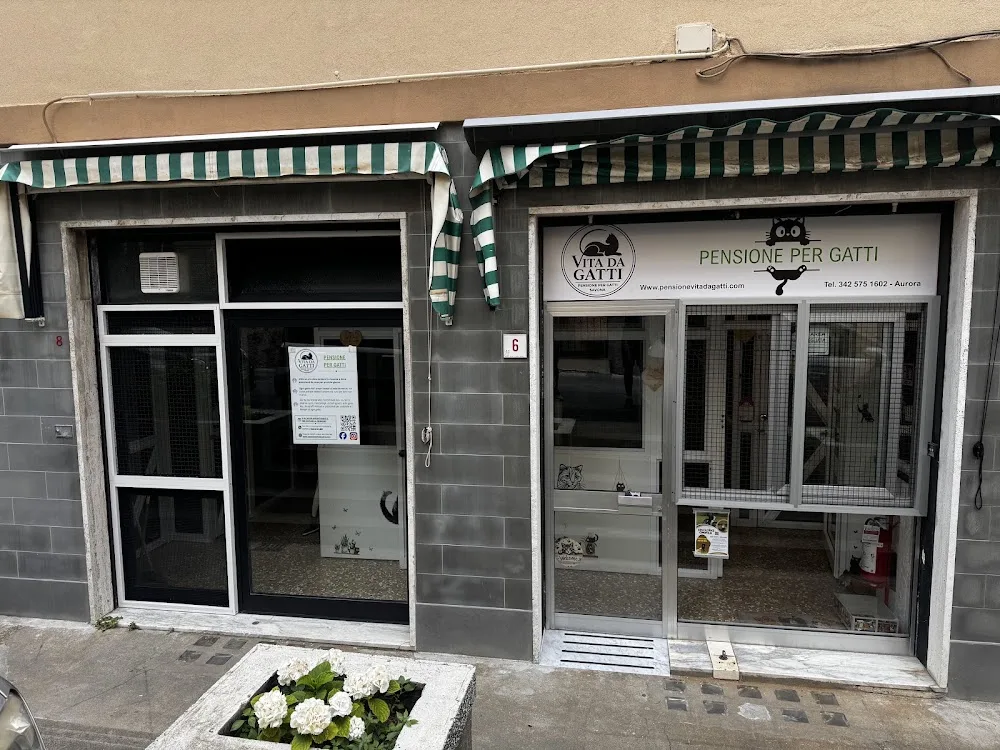 Pensione vita da gatti - Italy pet otel görseli 3