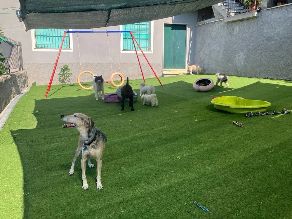 Villa Fringuello - Pensione per Cani - Italy pet otel görseli 2