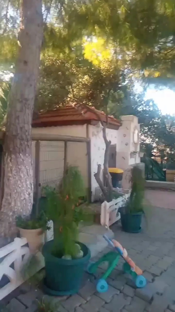 MINNIE THE POO KÖPEK OTELİ - Izmir pet otel görseli 2