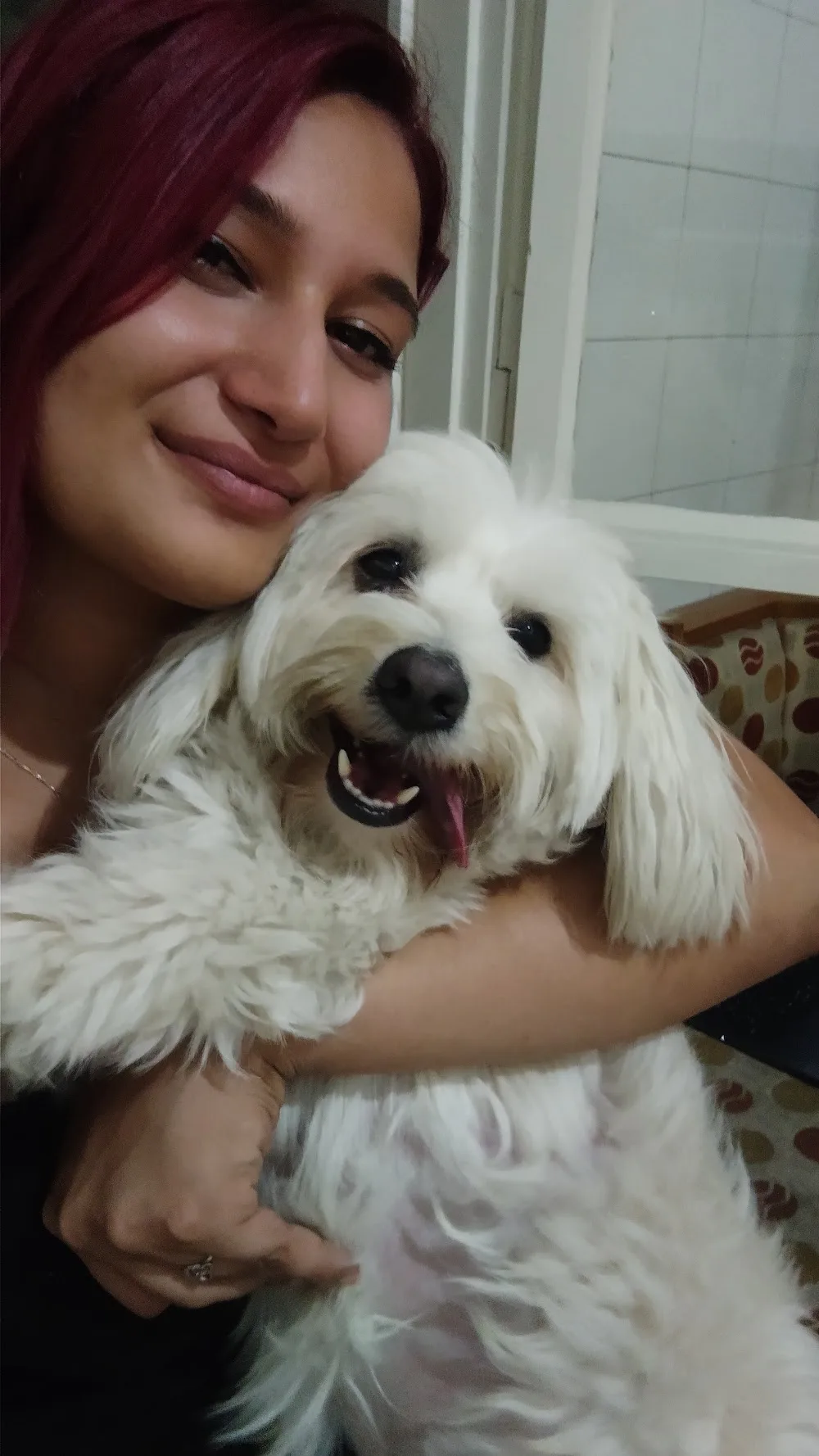 Pet's Care Pet Otel - Izmir pet otel görseli 2
