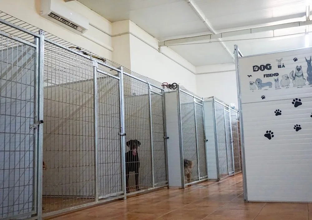 Guarderia canina mi mascota - Jaén pet otel