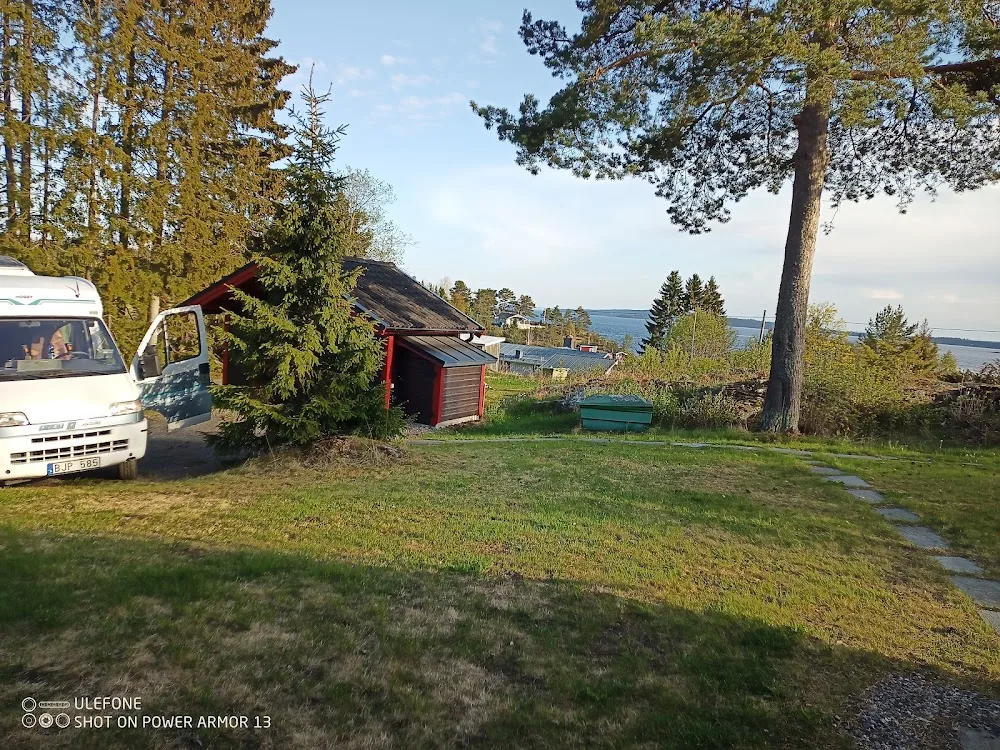 Klingerfjärdens Katthotell - Jämtland pet otel