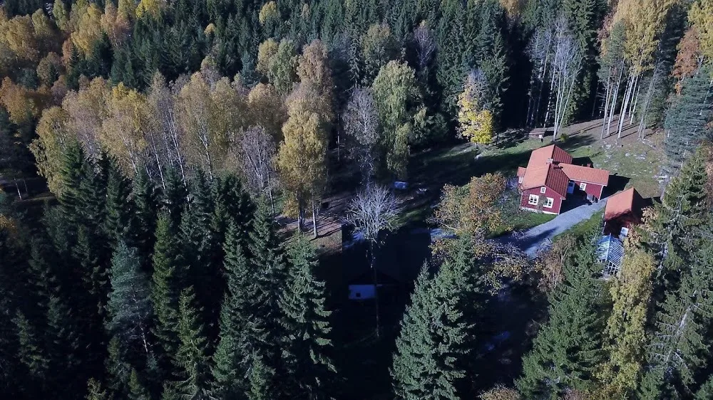 Lundegla - Jämtland pet otel görseli 3